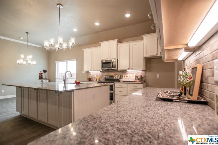 Property Photo:  1027 Winchester Drive  TX 76559 