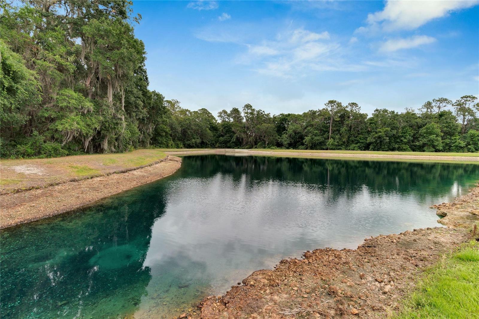 Property Photo: 2741 Walden Woods Drive FL 33566