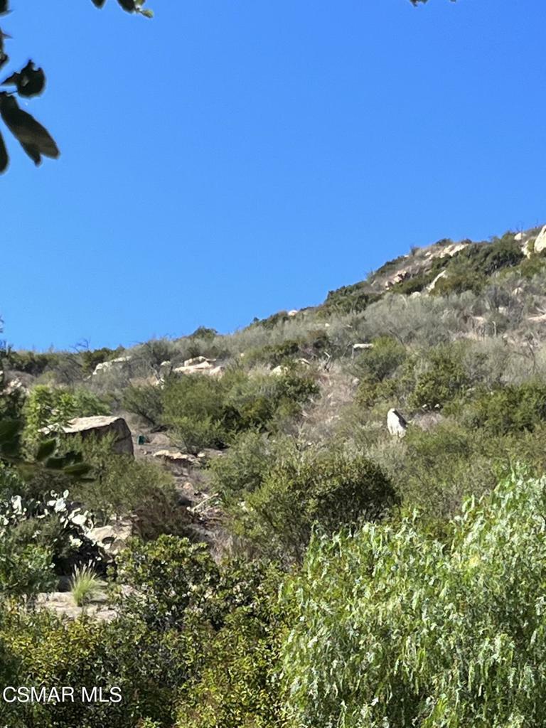 Property Photo:  Foothill  CA 93023 