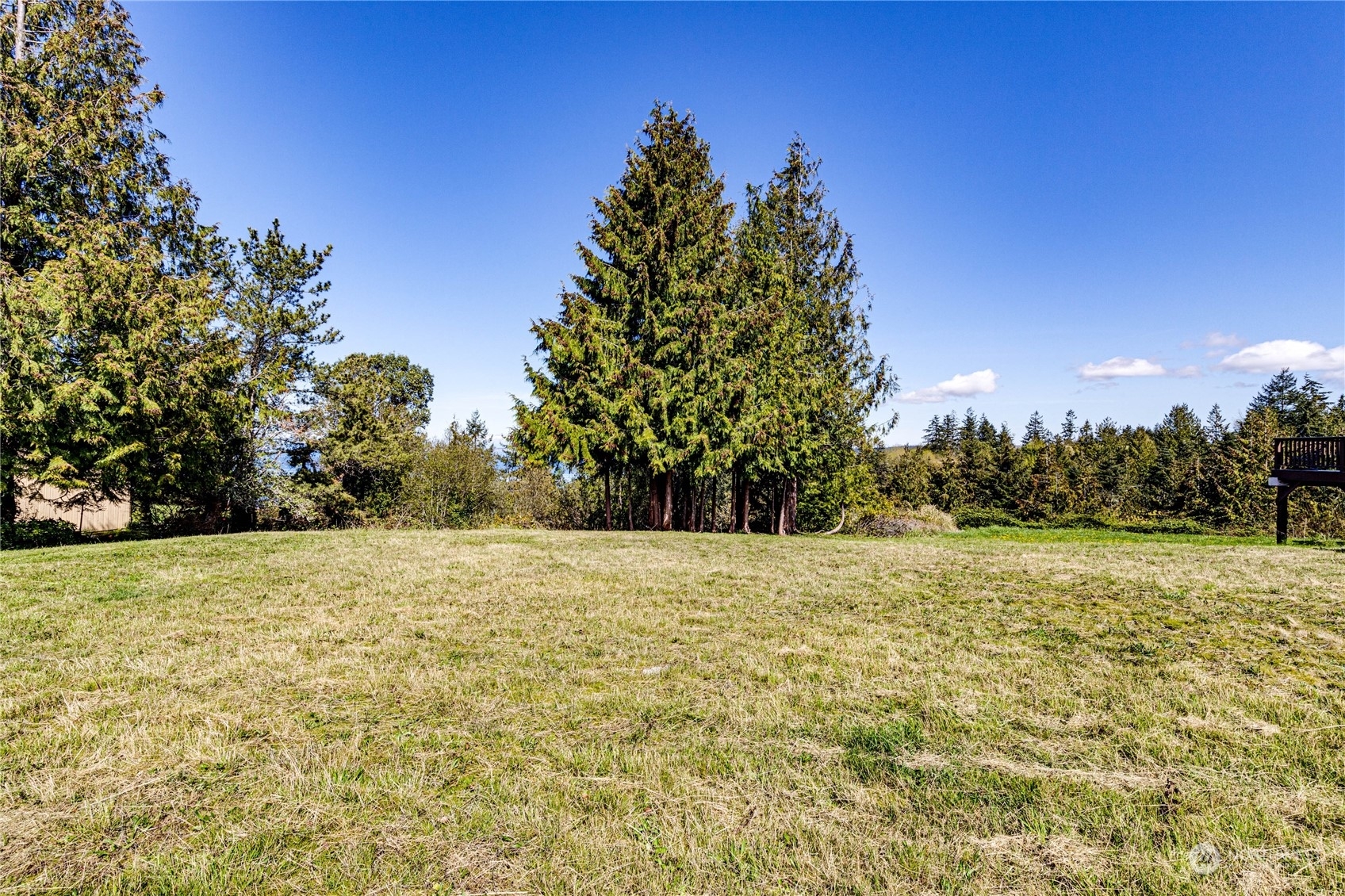 Property Photo:  0 Huckleberry Circle  WA 98382 