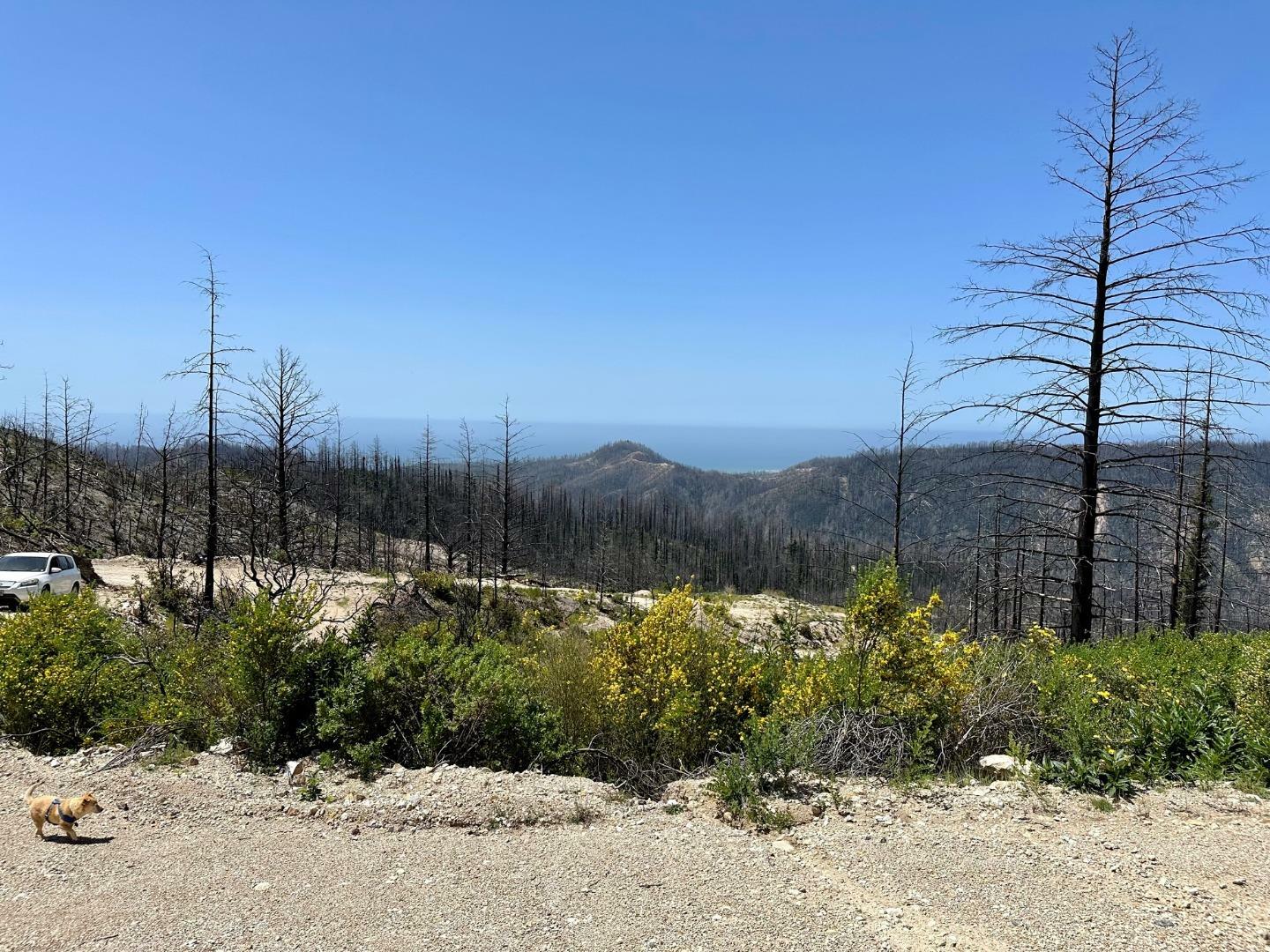 Property Photo:  0 South Pine Mountain Rd.  CA 95017 