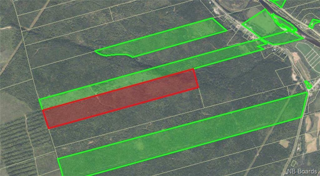 Property Photo: Woodlot Route 107 NB E6C2G8