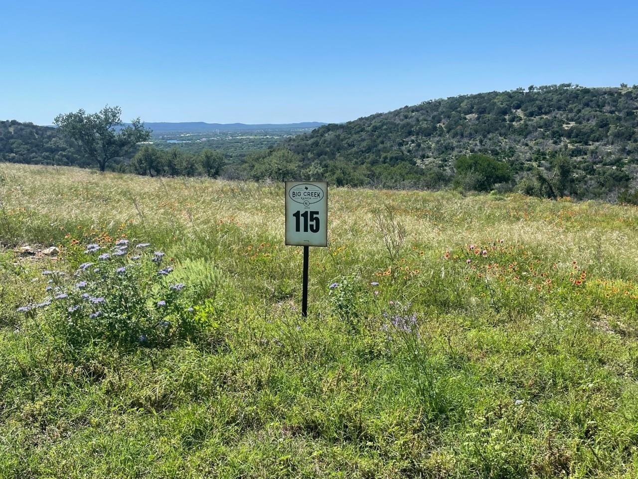 Property Photo:  115 Falling Waters (3.95 Acres)  TX 78639 