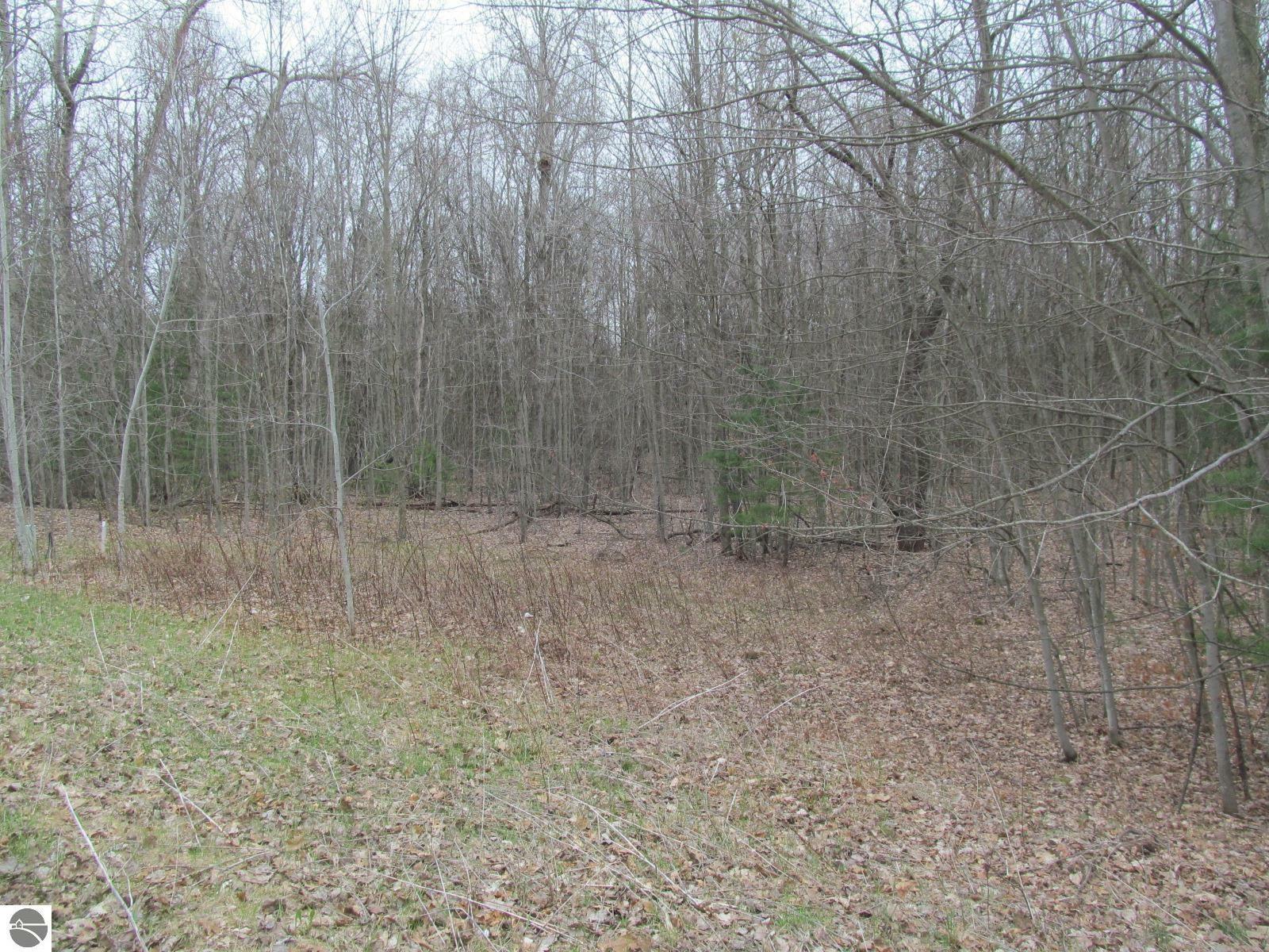 Property Photo:  Lot 24 River Woods Road River Woods Estates #2  MI 49651 