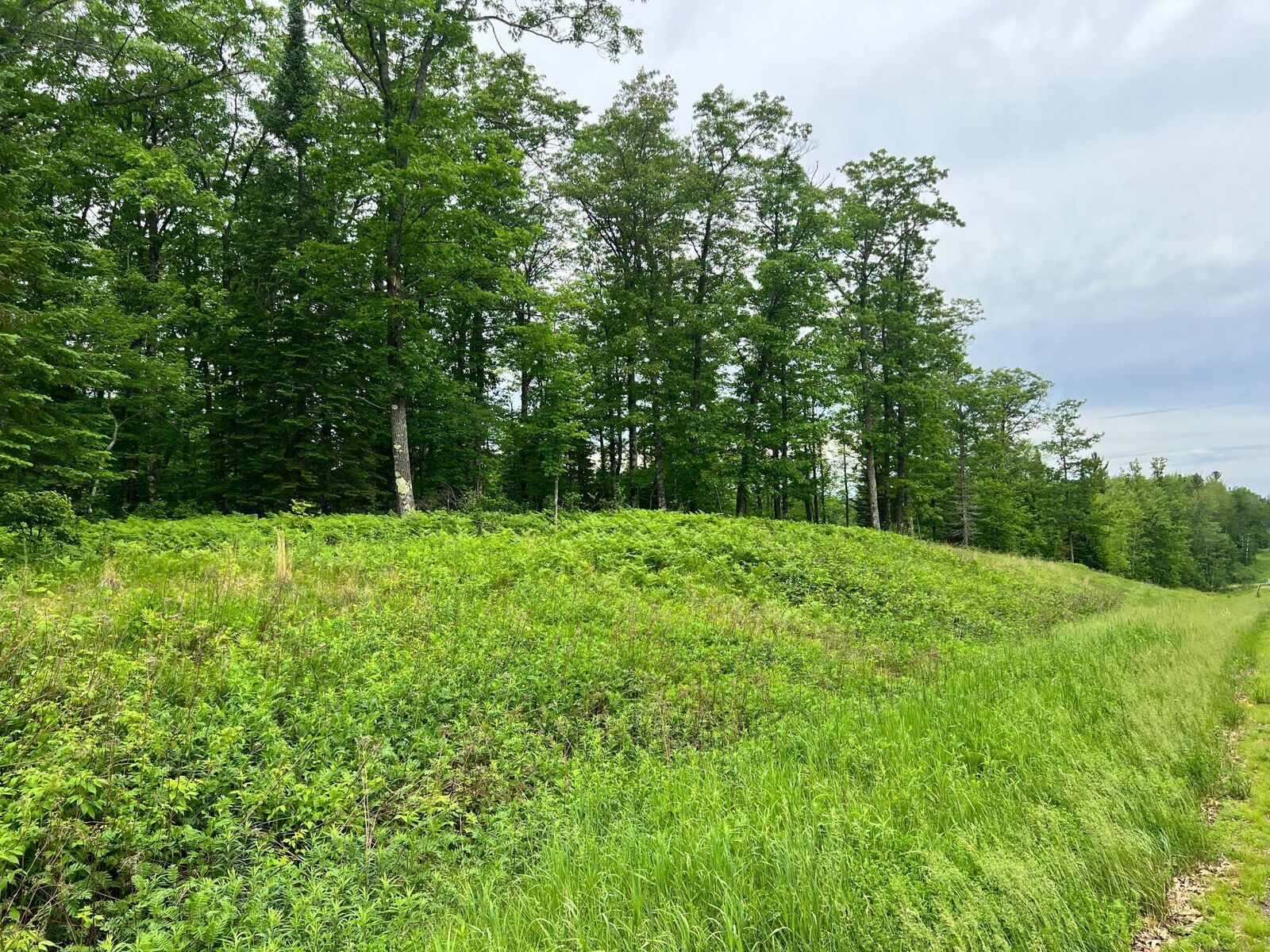 Property Photo:  Na County Rd 104  MN 55707 