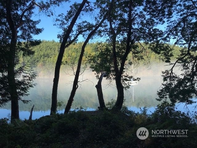 Property Photo: 0 Ec-4 East Cove Road WA 98221