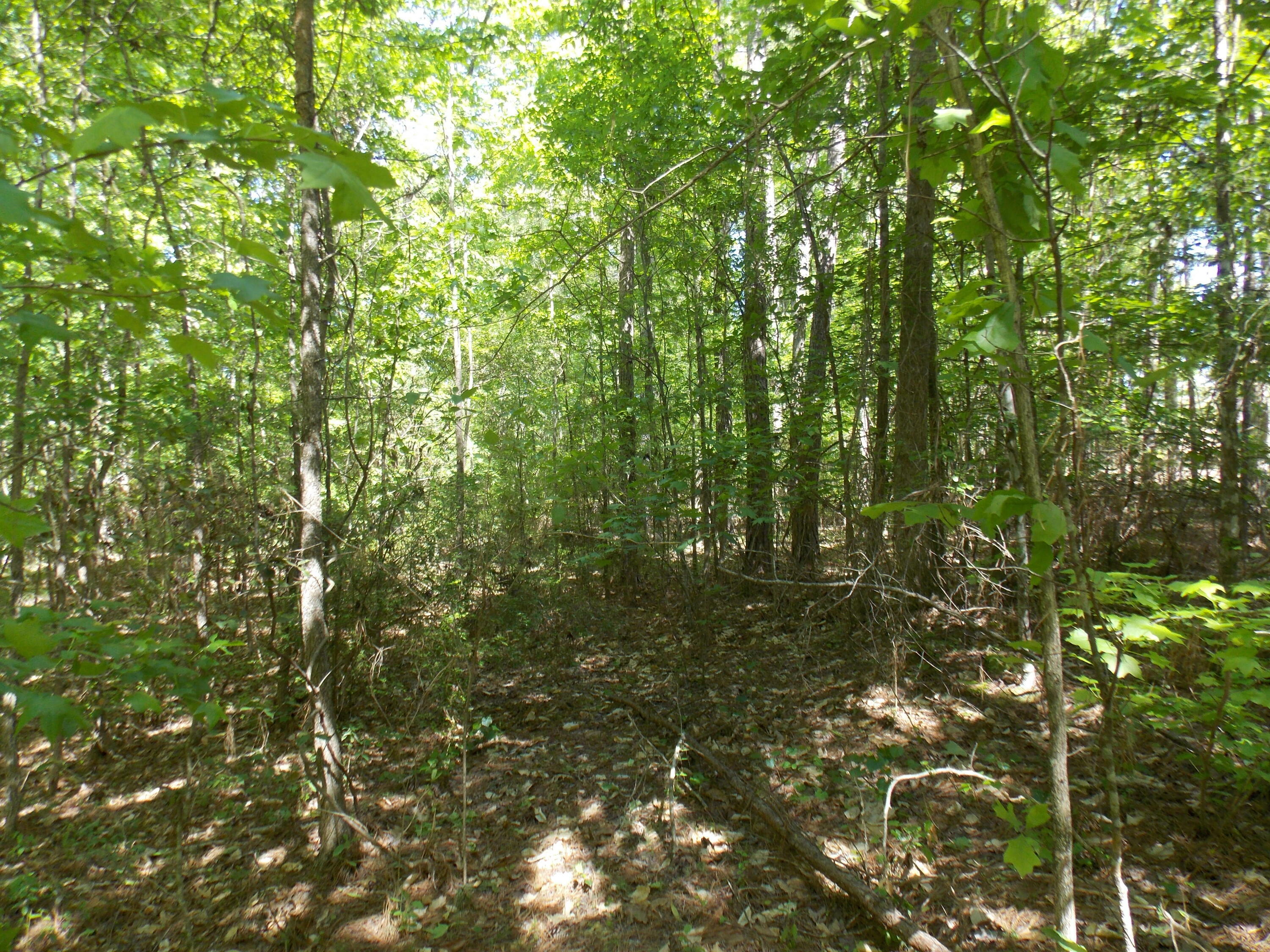 Property Photo:  12 Doe Run  GA 30817 