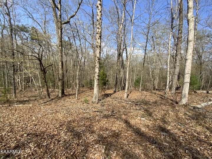 Rendezvous Road Lot # 21  Rockwood TN 37854 photo