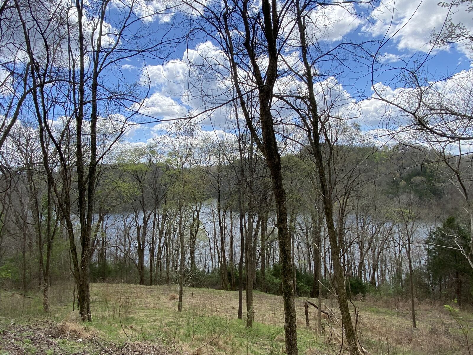 Property Photo:  96 Blackberry Ridge Way  TN 37166 