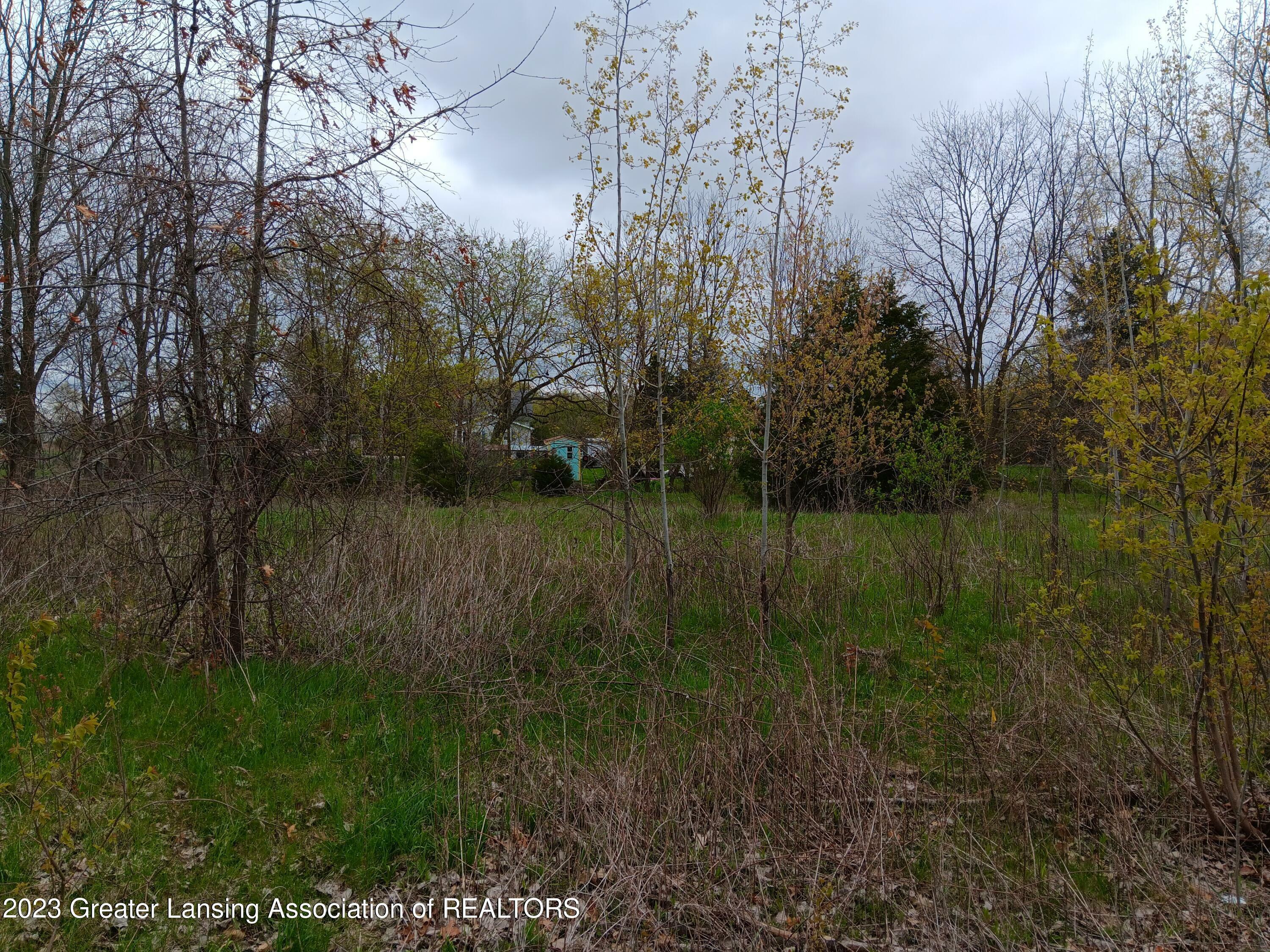 Property Photo:  00 W Riverview Drive  MI 48872 