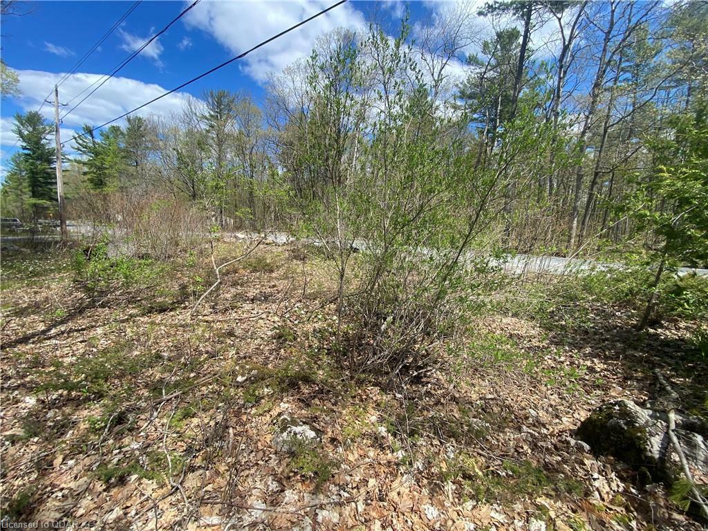 Property Photo:  0 Marble Point Road  ON K0K2M0 