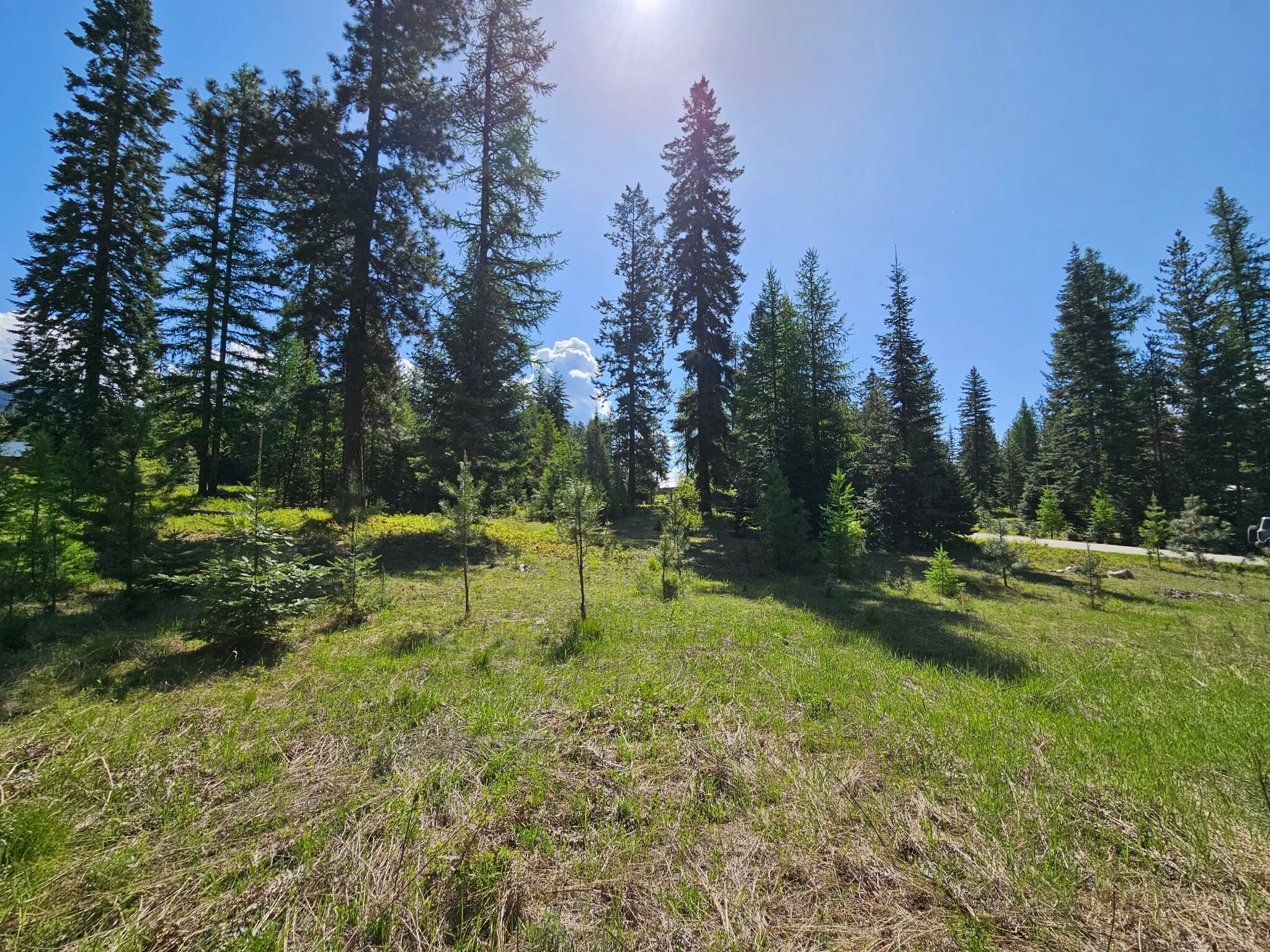 Property Photo:  Lot #11 Old Mill Way  MT 59874 