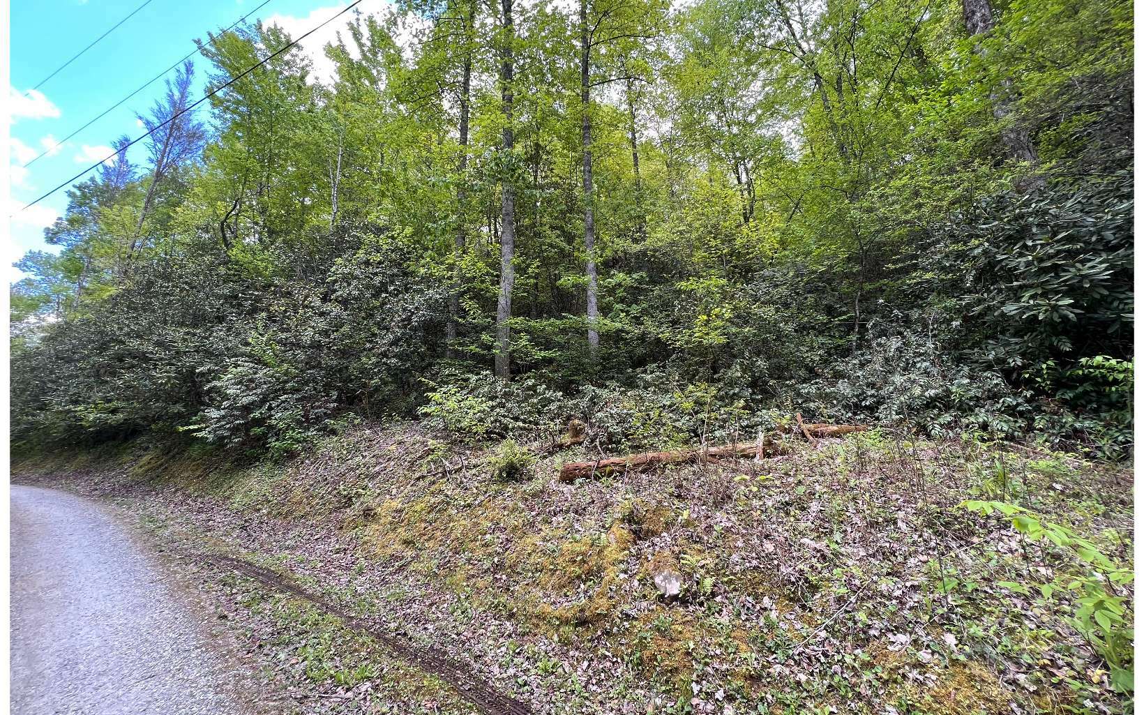 Property Photo:  Lot 8 Upper Sawyer Creek  NC 28771 