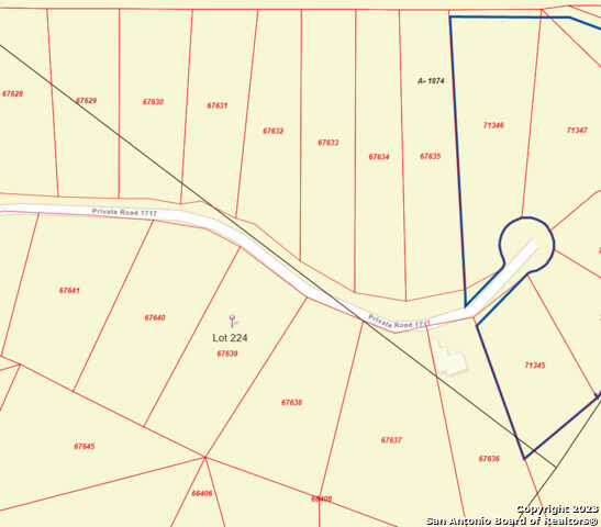 Property Photo:  224 Private Road 1717  TX 78056 