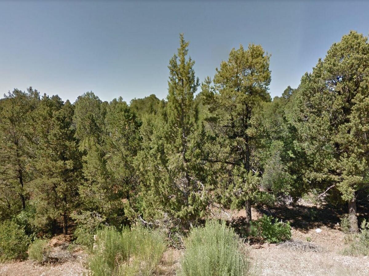 Property Photo:  Zion Hunting Est Blk 2 Lot 37  UT 84762