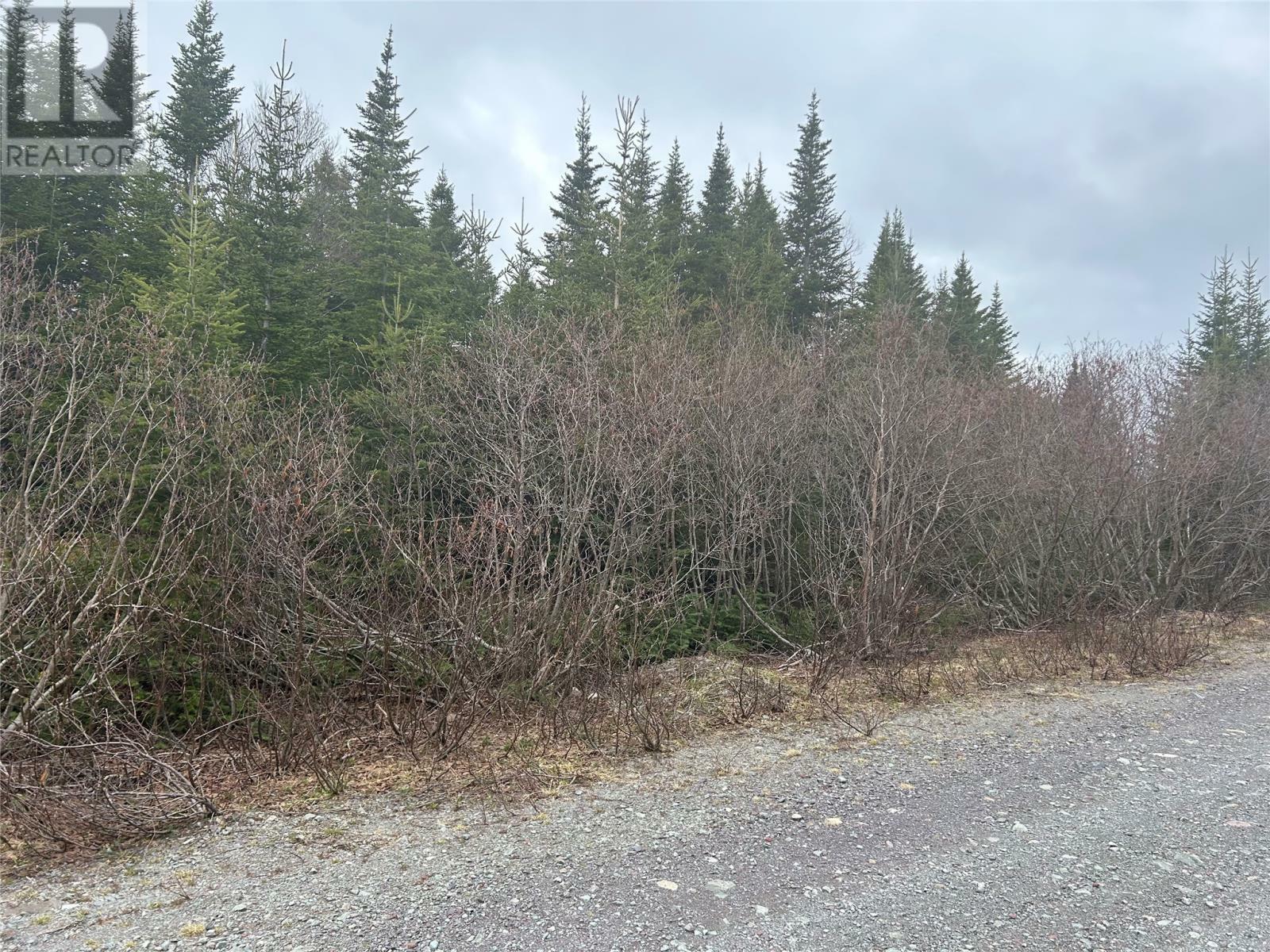 Property Photo:  Lot #01 Slate Mine Road  NL A0C 1G0 