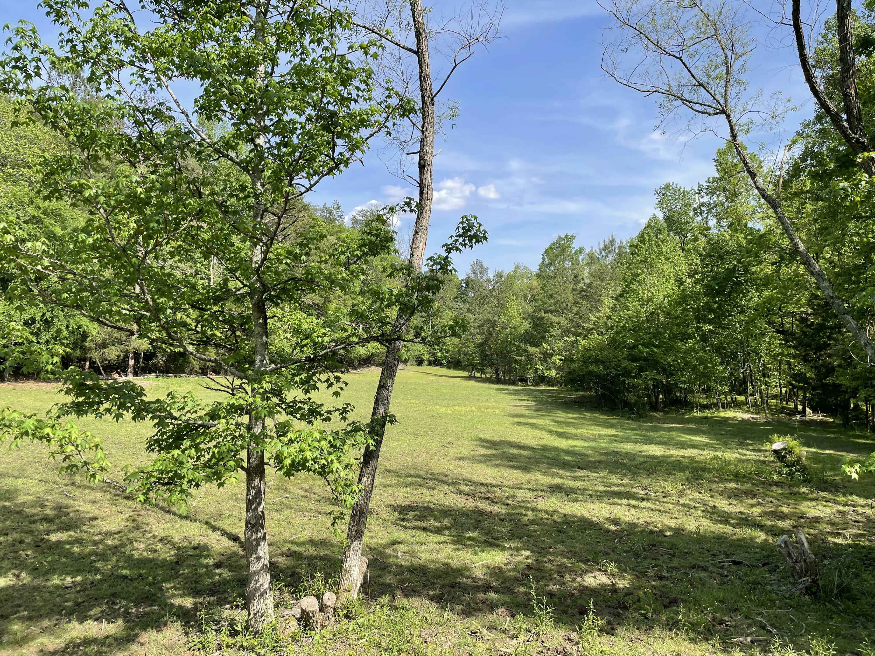 Property Photo: 494 Mowery Circle TN 37310