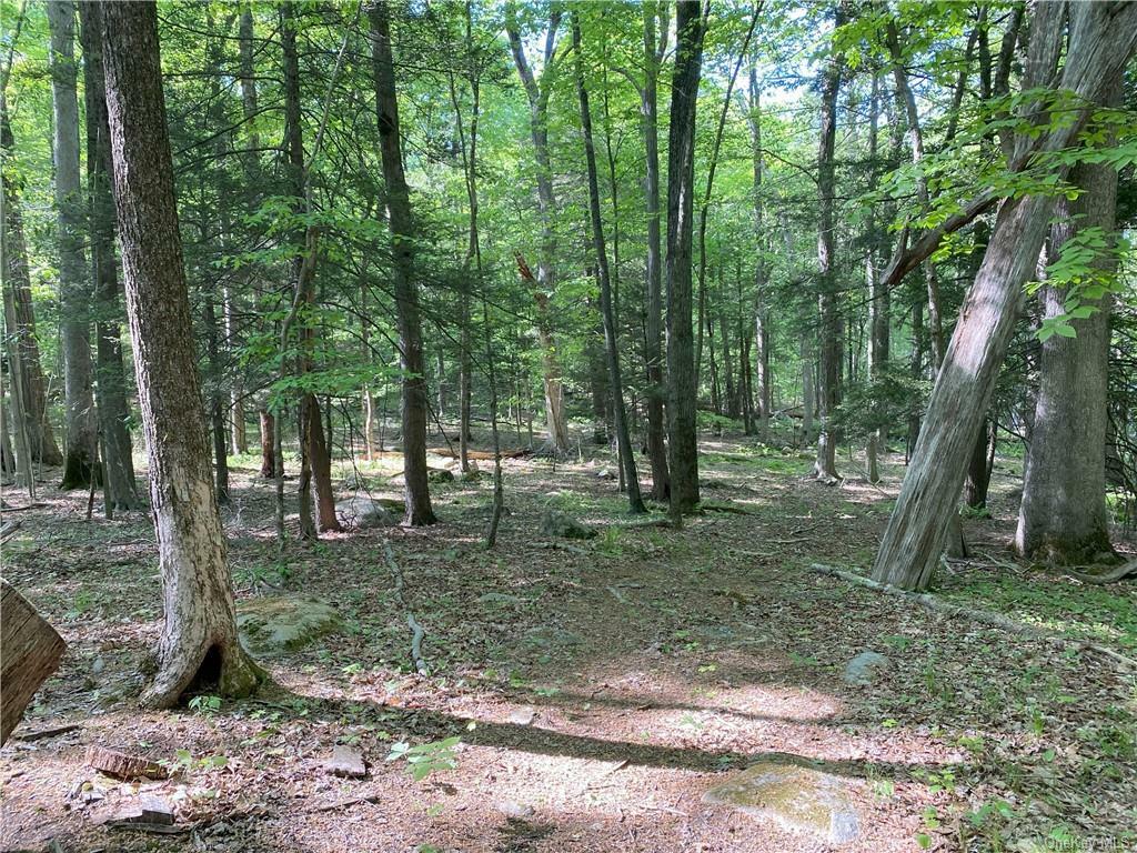 Property Photo: 173 Orange Turnpike NY 10974