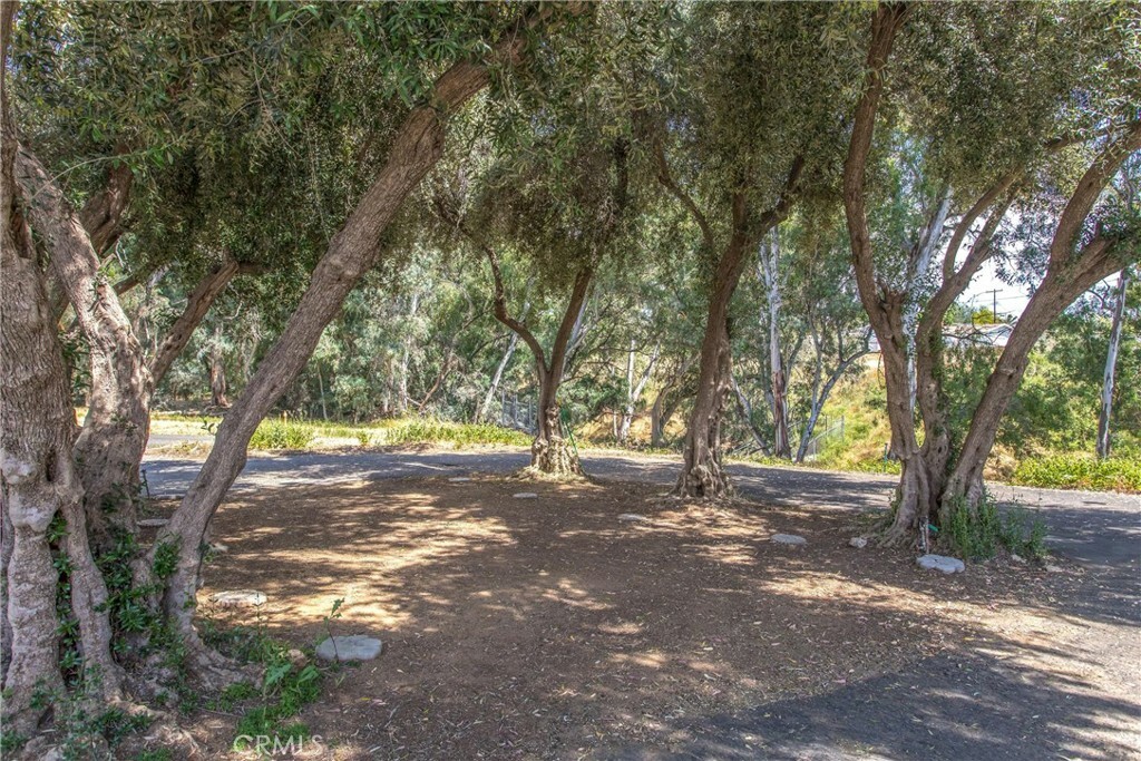 Property Photo:  111 Oak Valley  CA 92223 