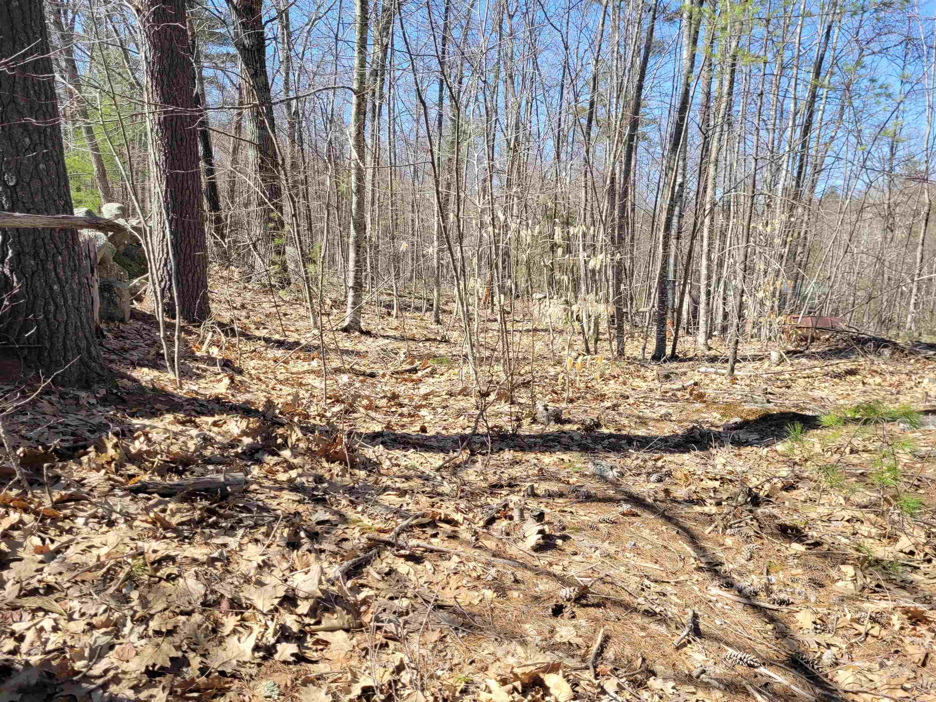 Property Photo:  Lot 10 Merrymeeting Road  NH 03855 