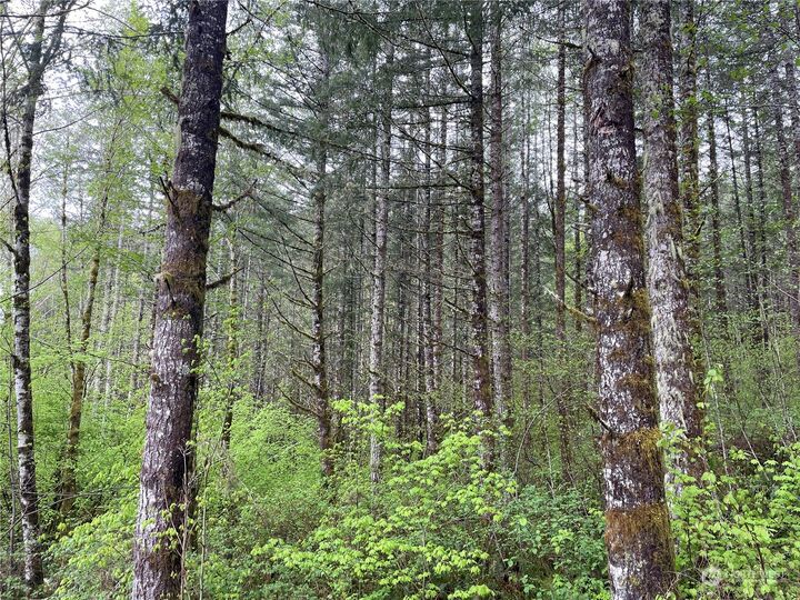 Property Photo:  0  Kalama River Road  WA 98625 