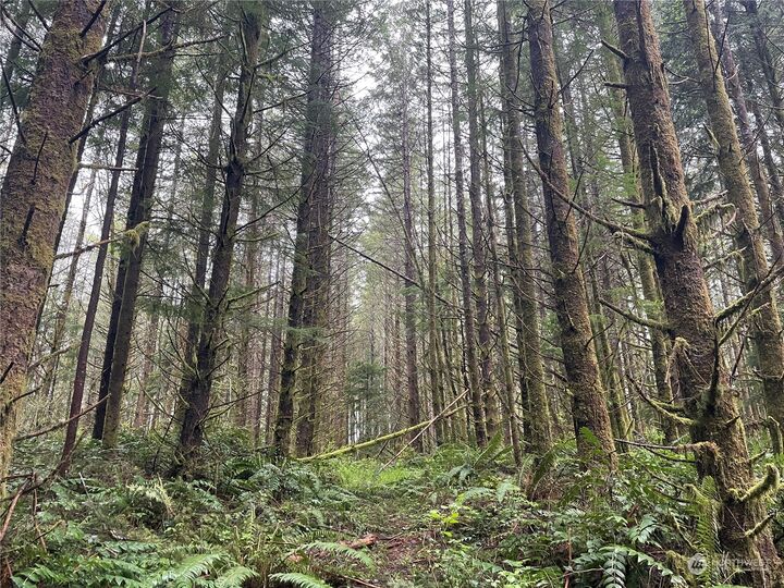 Property Photo:  0  Little Kalama River Road  WA 98674 