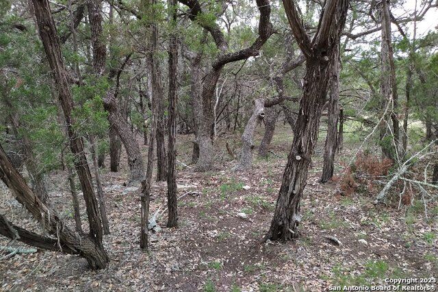 Property Photo:  0 Marlys Avenue  TX 78133 