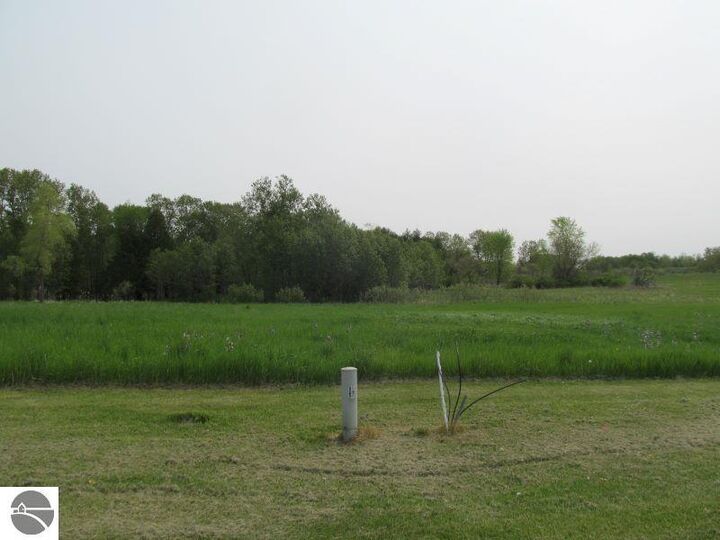 Property Photo:  Lot #8 S Hemlock Street  MI 49657 