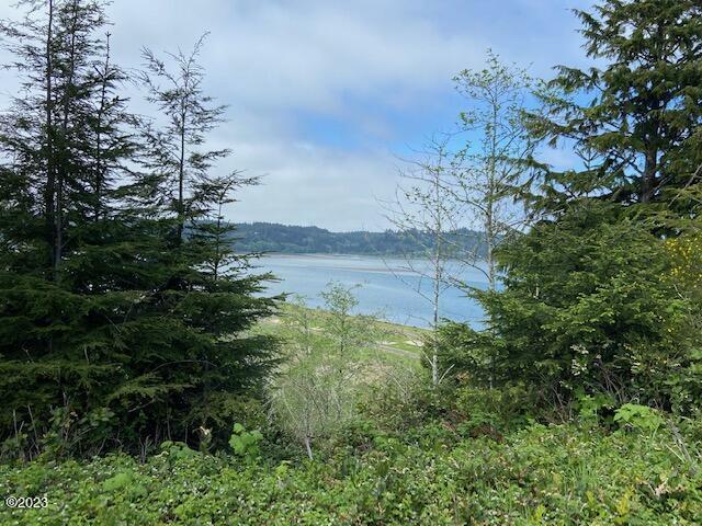 Property Photo:  Tl 401 Alsea Hwy  OR 97394 