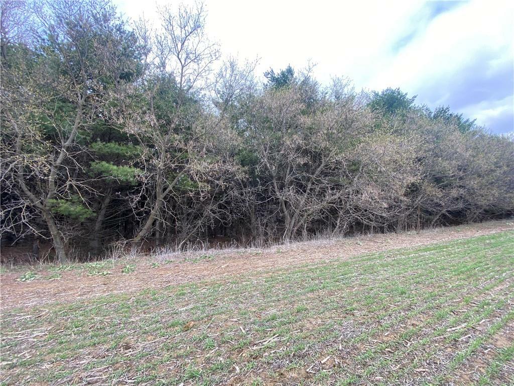 Property Photo:  Lot 2 & 3 County B  WI 54758 