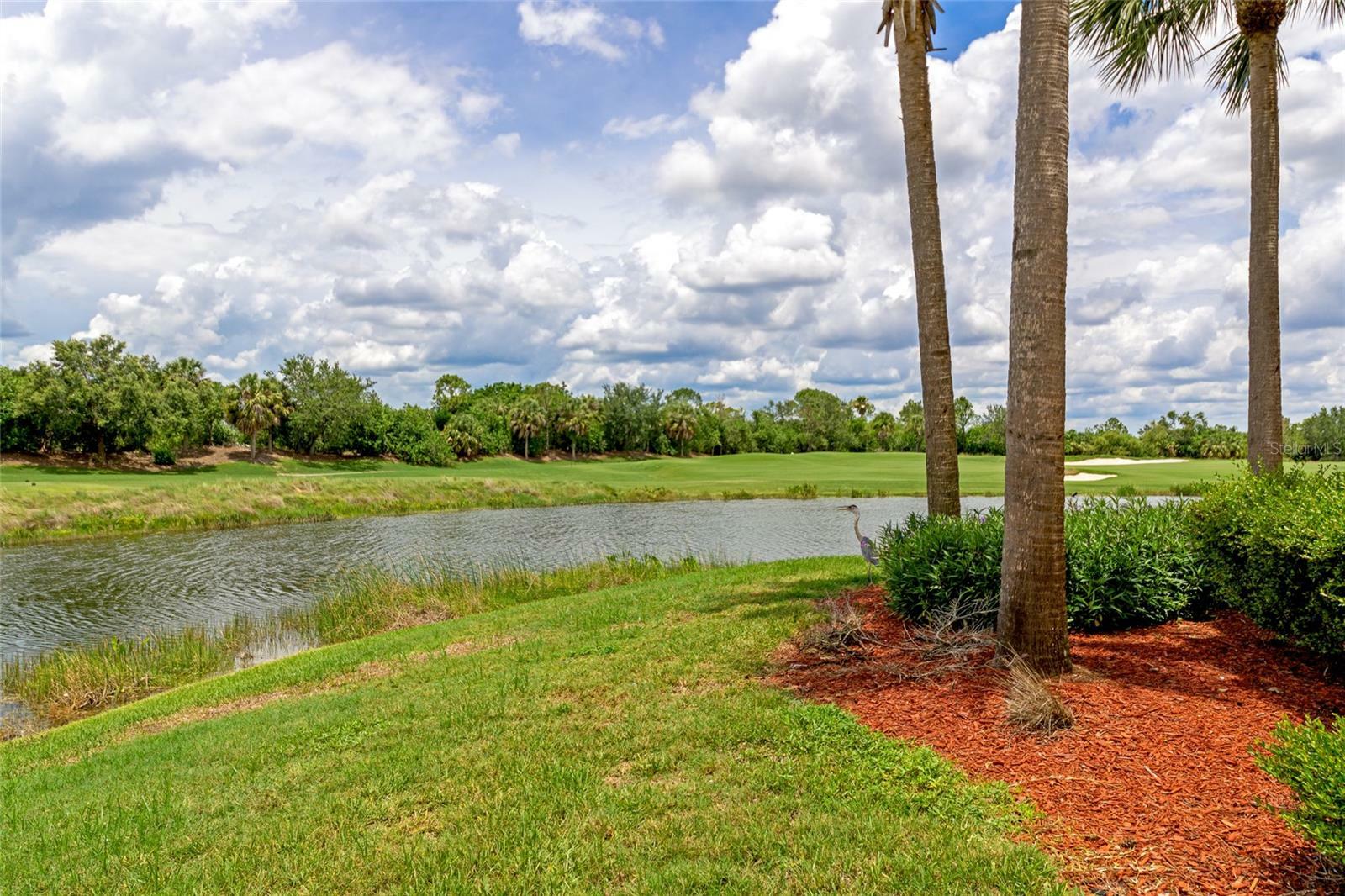 Property Photo:  6411 Grand Estuary Trail 104  FL 34212 