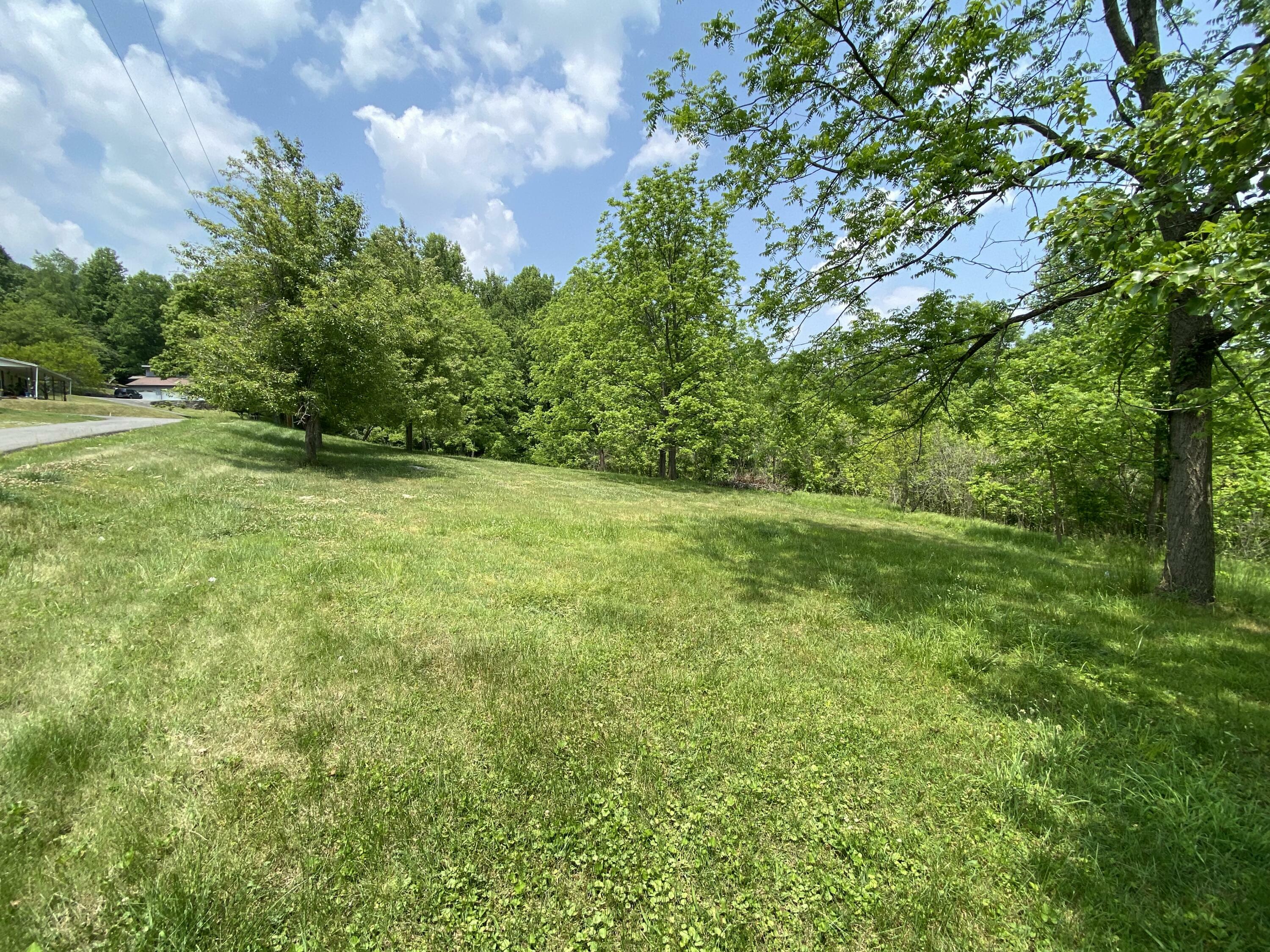 Property Photo:  Tbd Lombard Street Lot 2  VA 24251 