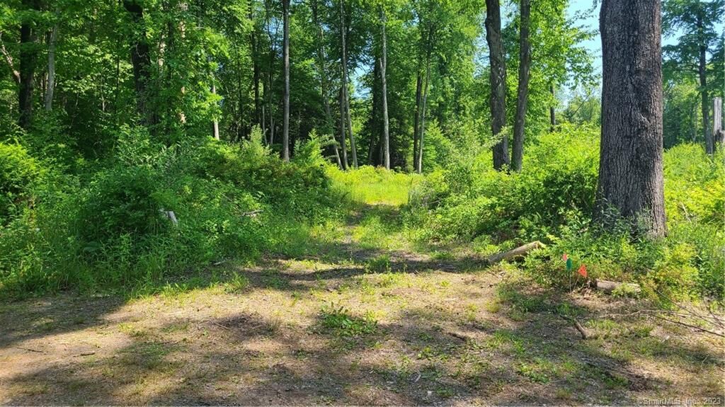 Property Photo: 0 Horse Fence Hill Road CT 06488