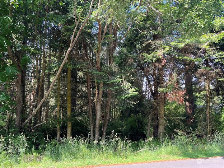 Property Photo: 0 Rickover Drive WA 98239