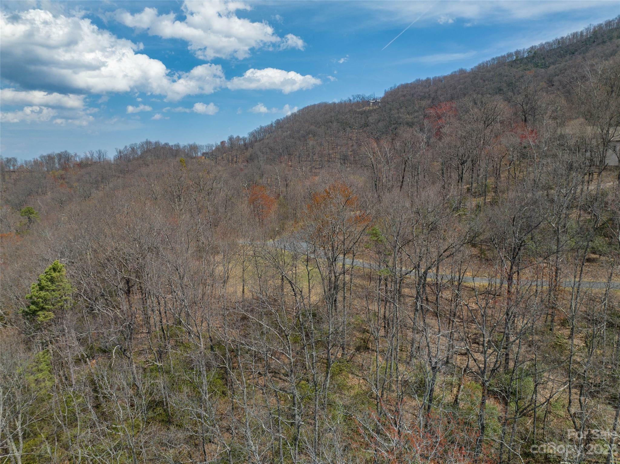 187 Arcadia Falls Way 77  Black Mountain NC 28711 photo