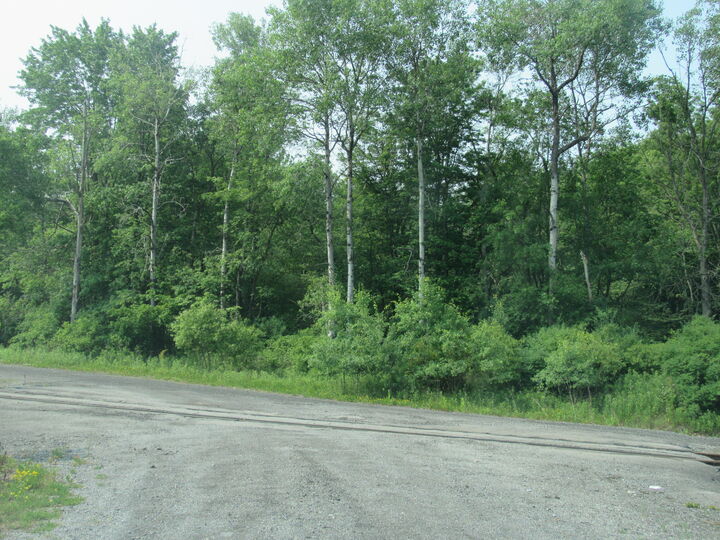 Property Photo:  Platt Rd  PA 15801 