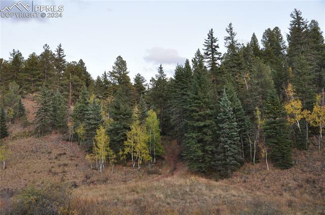 Property Photo:  1676 Pathfinder Road  CO 80816 