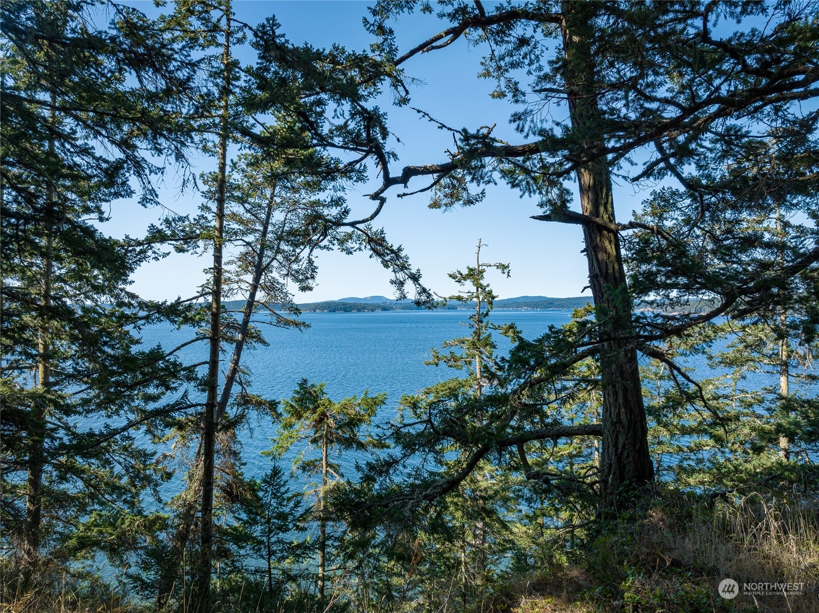 Windermere Real Estate/Lopez Island