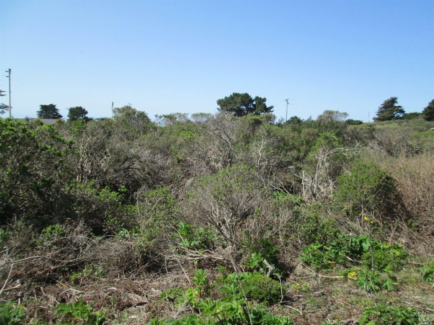 Property Photo: 43601 Sea Cypress Drive CA 95459