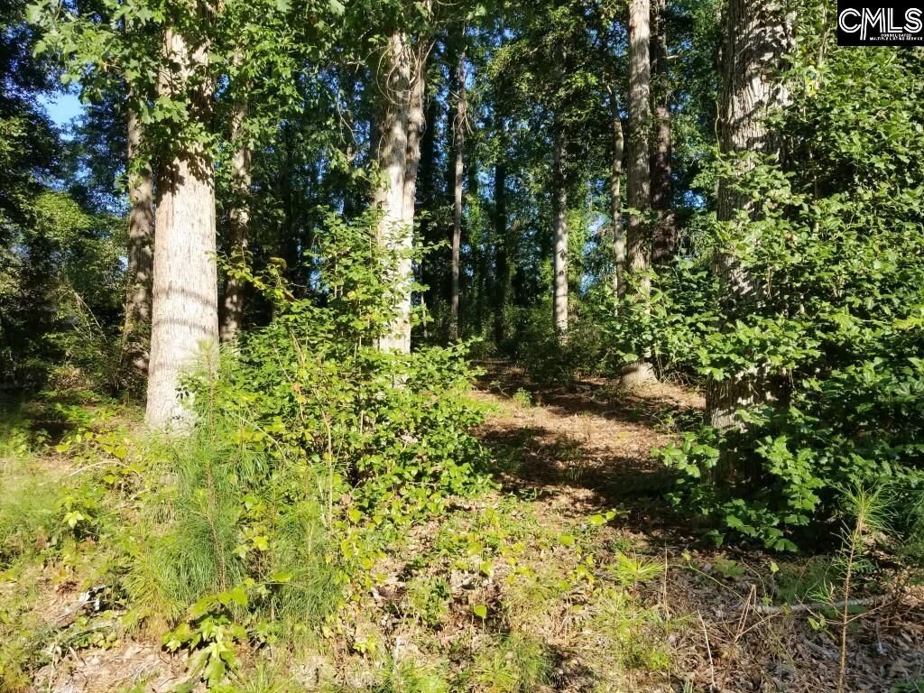 Property Photo:  306 Reed  SC 29072 