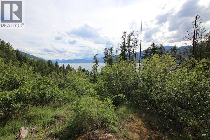 Property Photo:  Lot B Highway 23 Other  BC V0G 1R1 