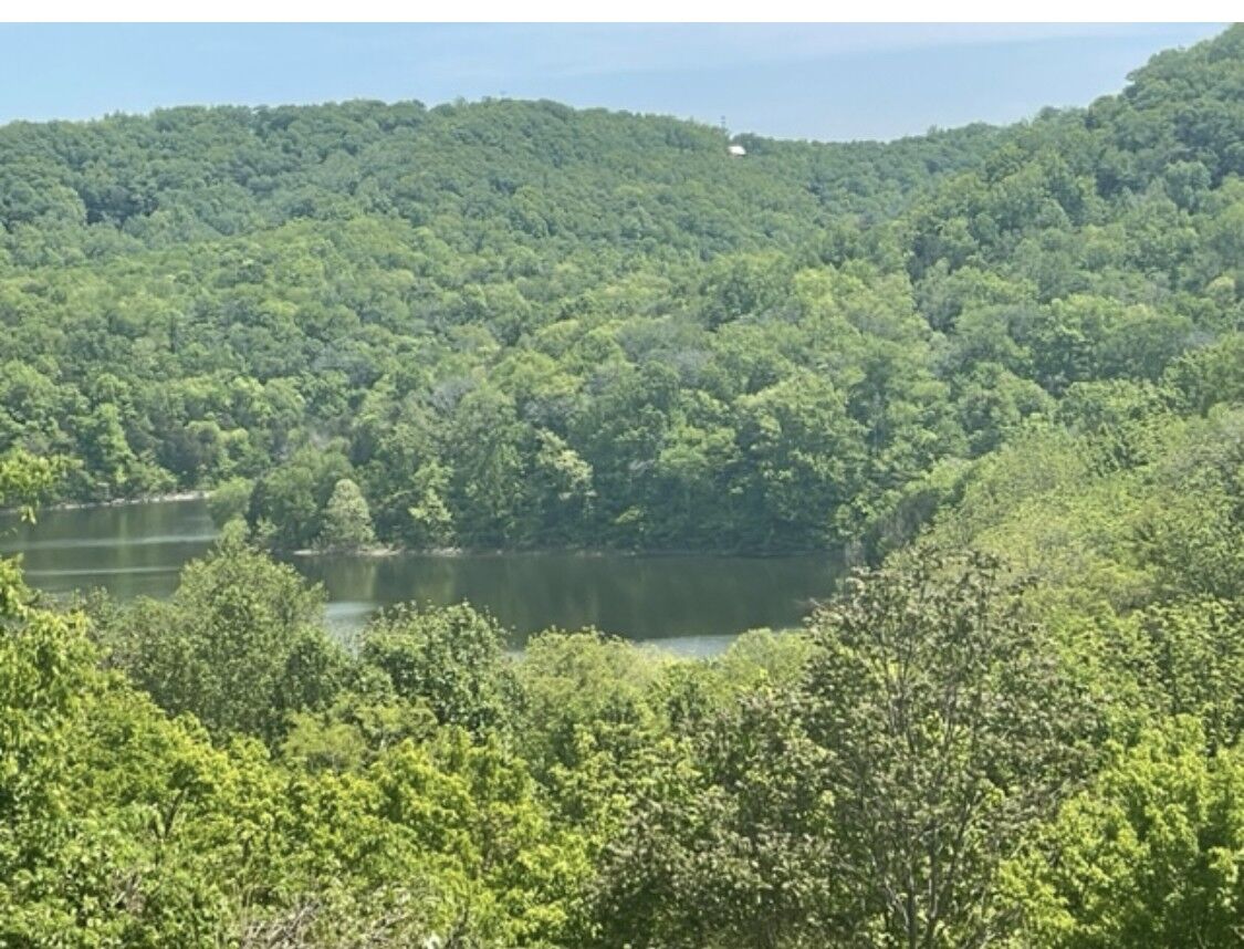 Property Photo:  0 Blackberry Ridge Way  TN 37166 