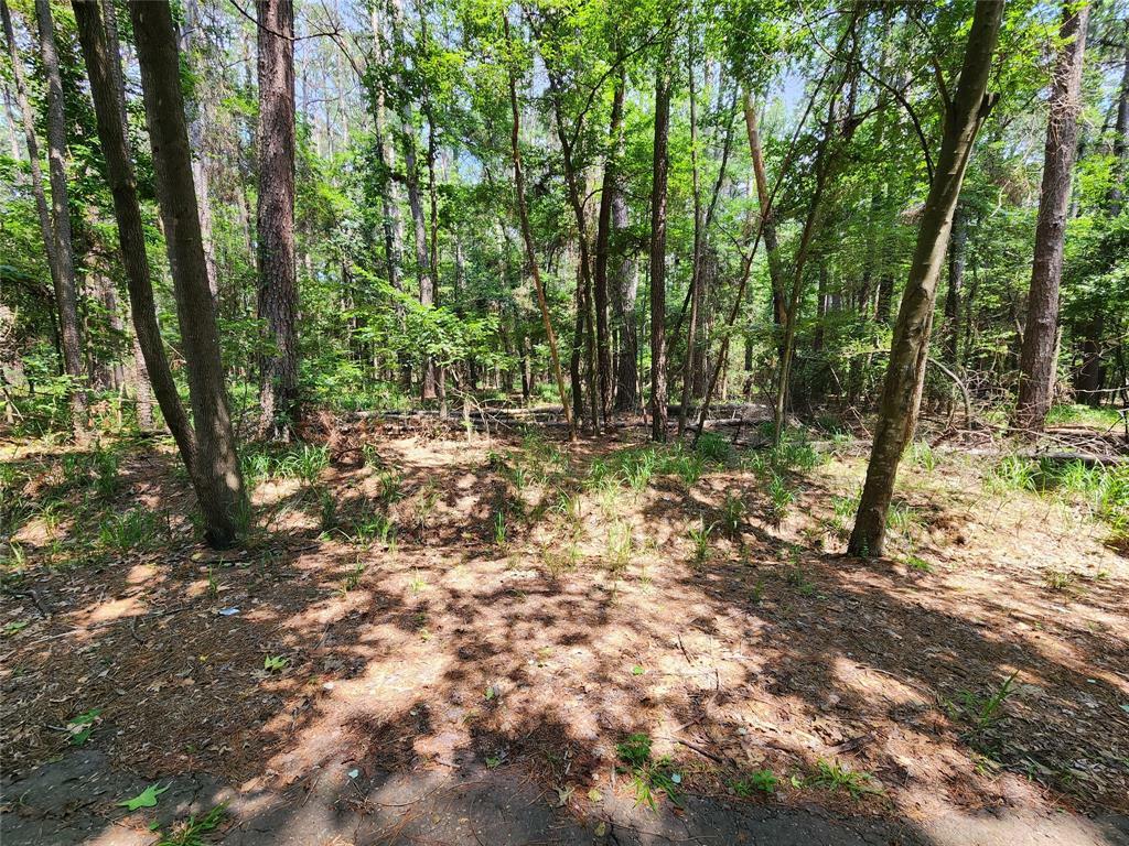 Property Photo:  Lot 37 Whipporwill Lane  TX 75457 