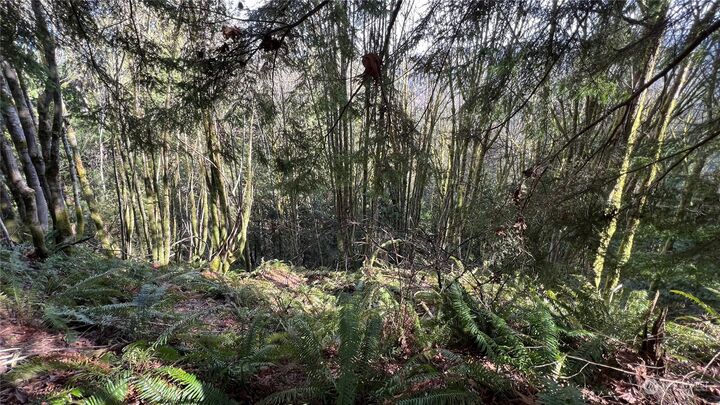 MLS2130148 13729 Jordan Trails Road, Arlington, WA 98223