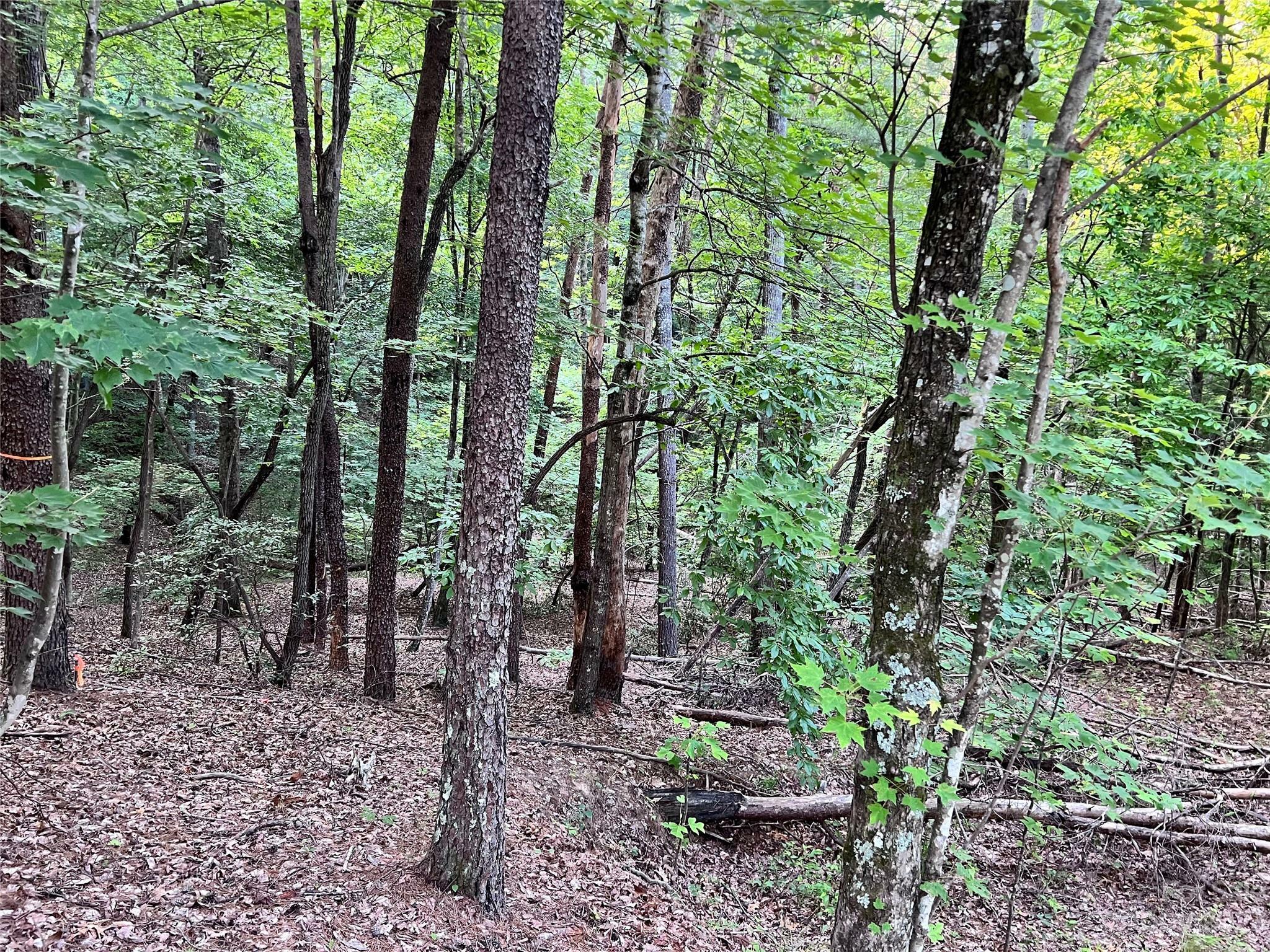 Property Photo: 000 Hawks Terrace NC 28746