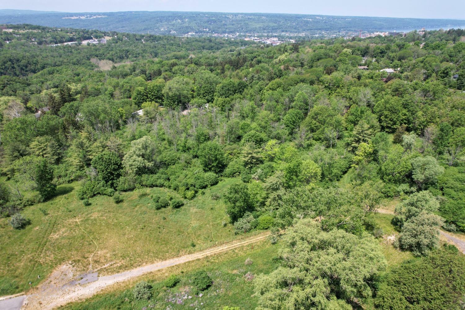 Property Photo: 0 Strawberry Hill Circle NY 14850