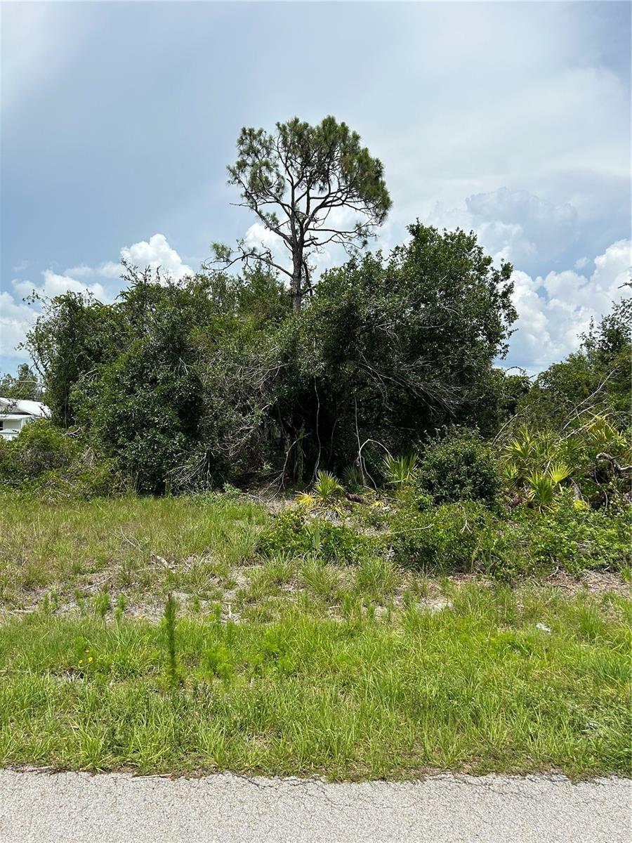 Property Photo:  3721 Woodholm Drive  FL 33982 