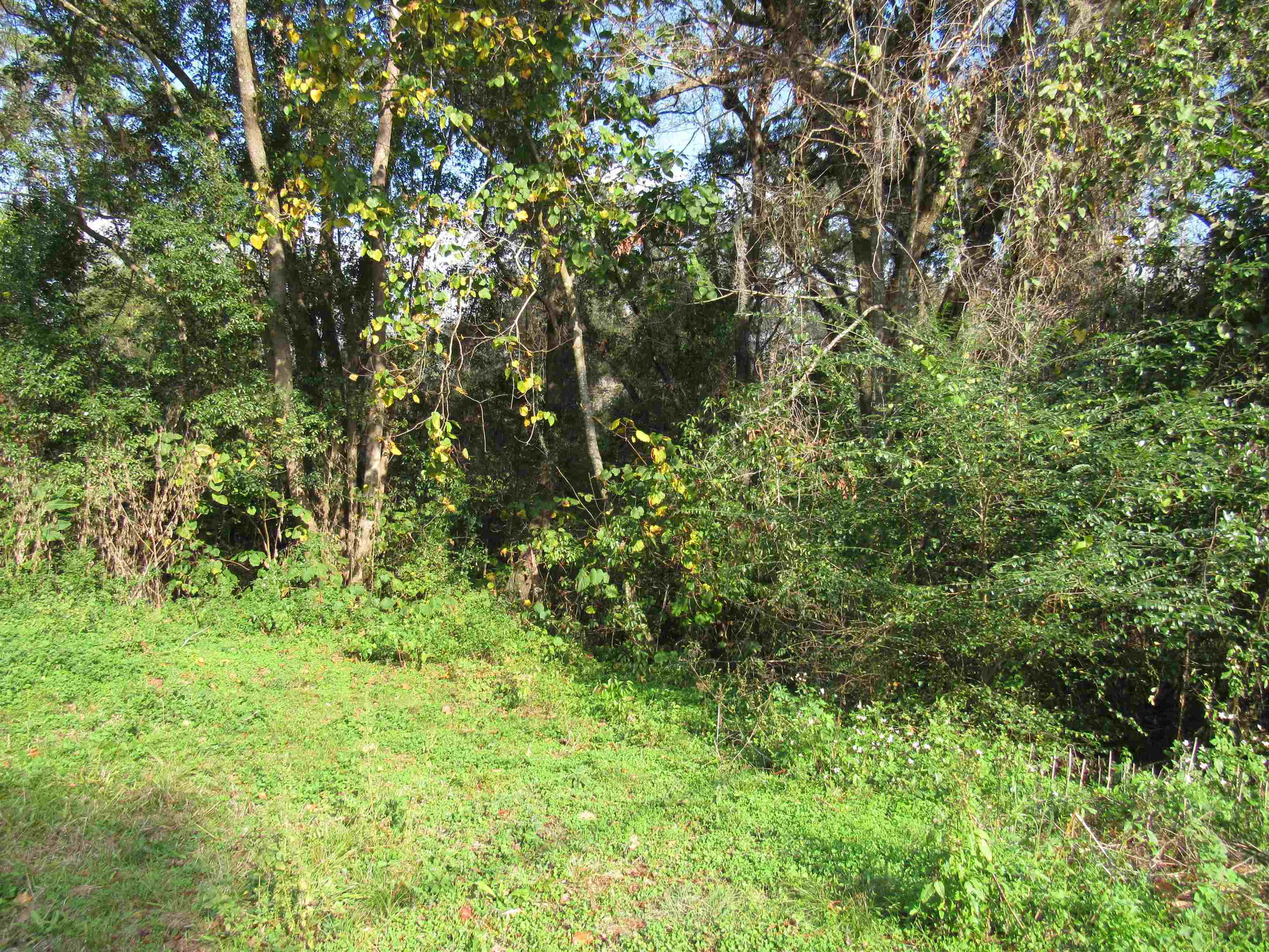 Property Photo:  842 Ridge Road  FL 32305 