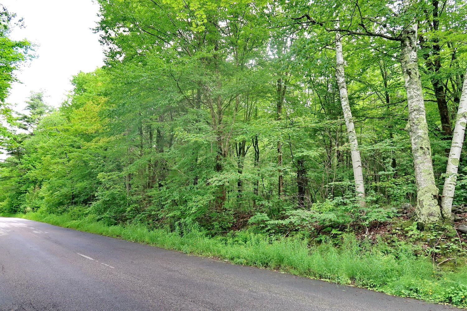 Property Photo: Tbd Easton Road NH 03586