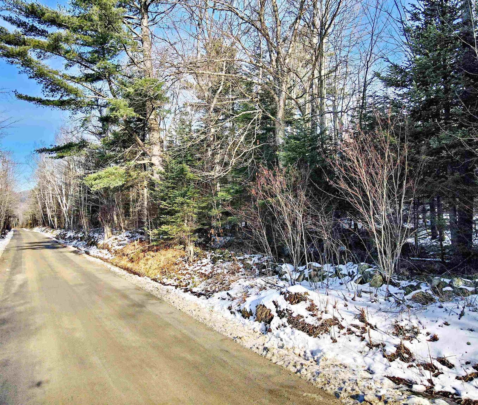 Property Photo:  Tbd Easton Road  NH 03586 